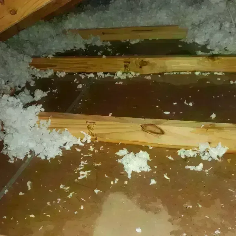 Attic Water Damage in Quitman, MS